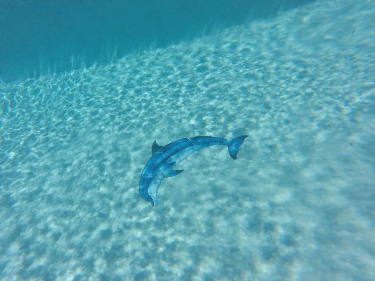 Share Vie Villa Grote Berg Curaçao